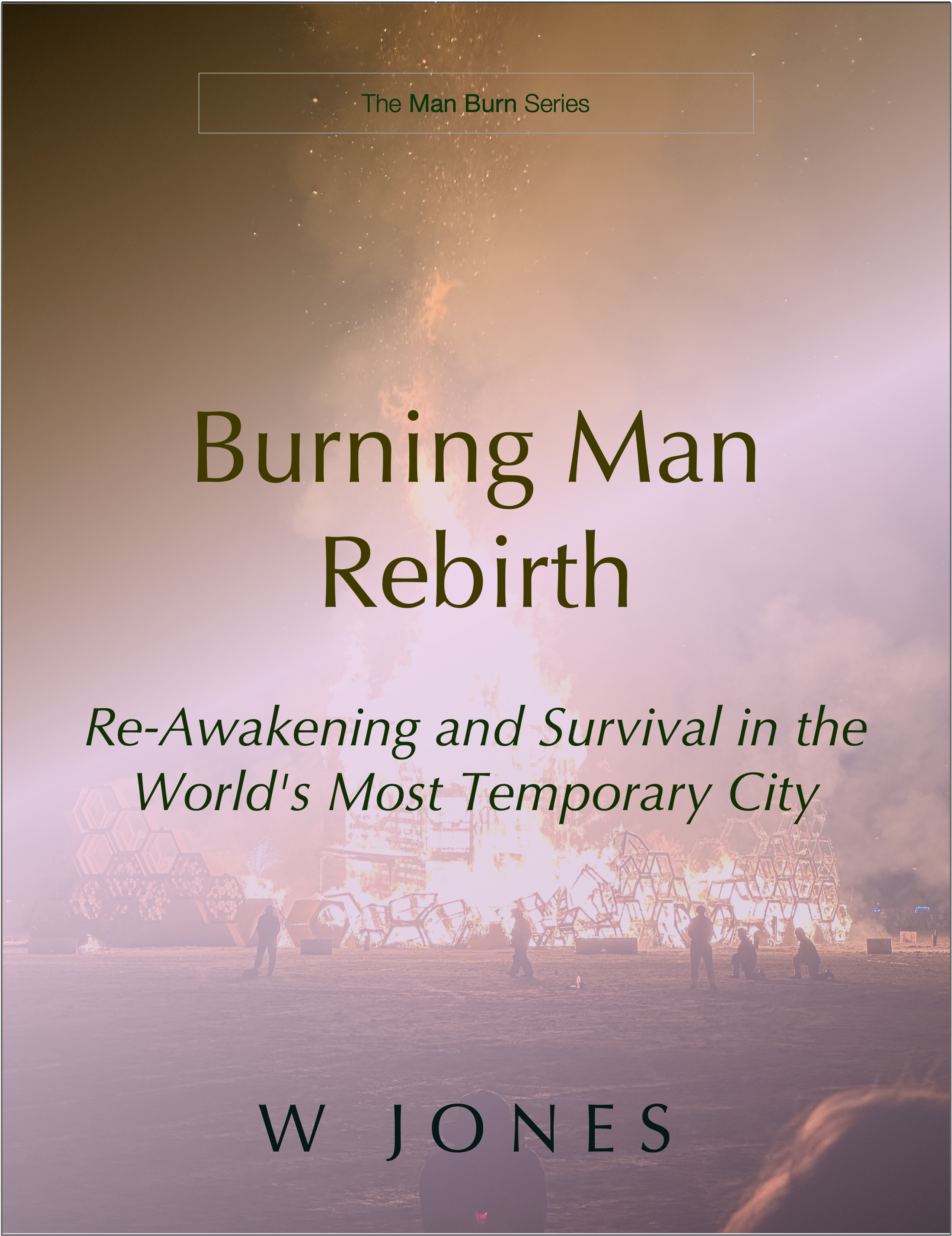 Burning Man Rebirth Cover